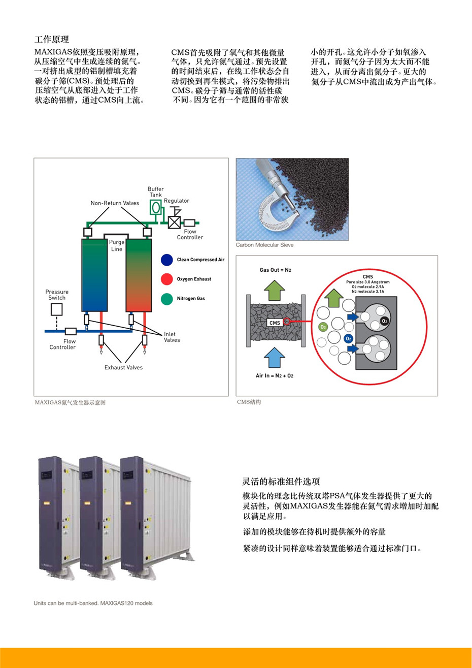 MAXIGAS 氮气发生器